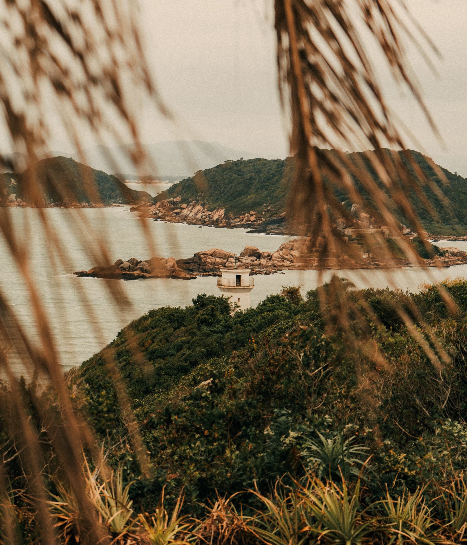Ilha e mar vistos entre a vegetação